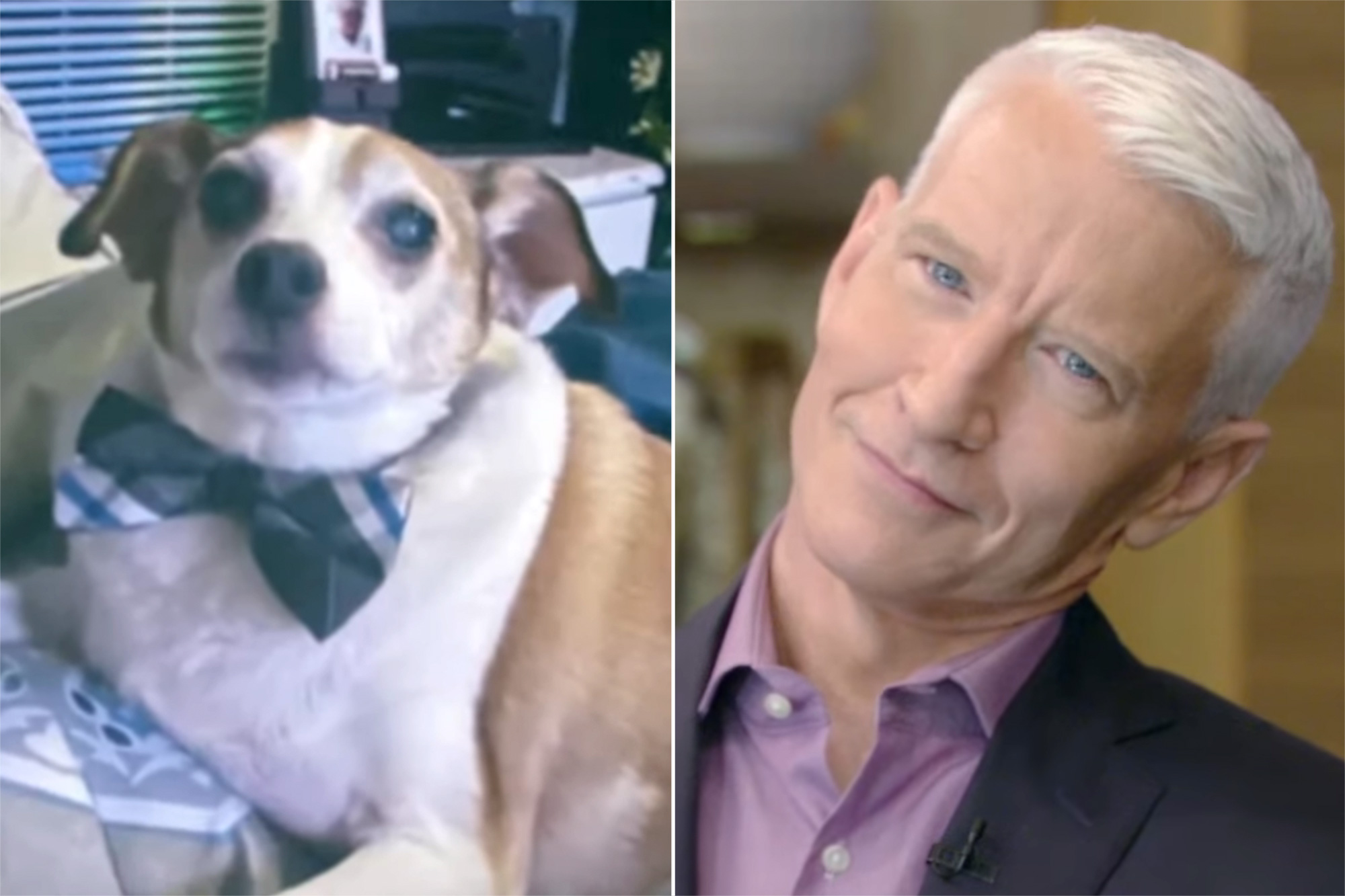 Cooper Anderson; Anderson Cooper